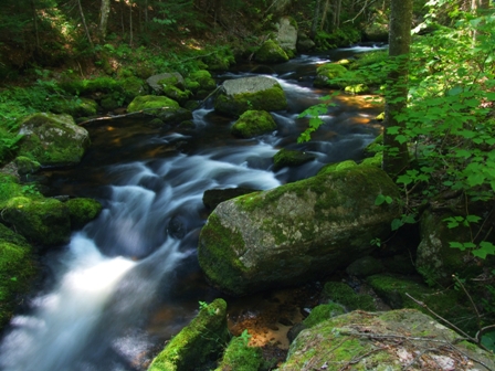 HATCH BROOK (3)