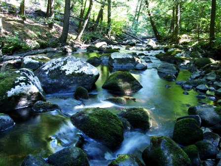 SMALL STREAM 448-336 (37)